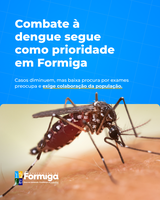 Formiga registra queda nos casos confirmados de dengue em 2026, mas alerta para baixa adesão a exames.