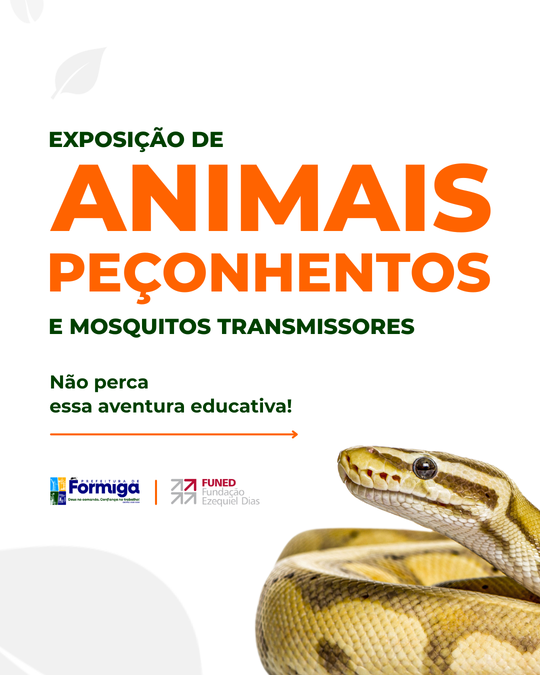 Exposição de Animais Peçonhentos e Mosquitos Transmissores
