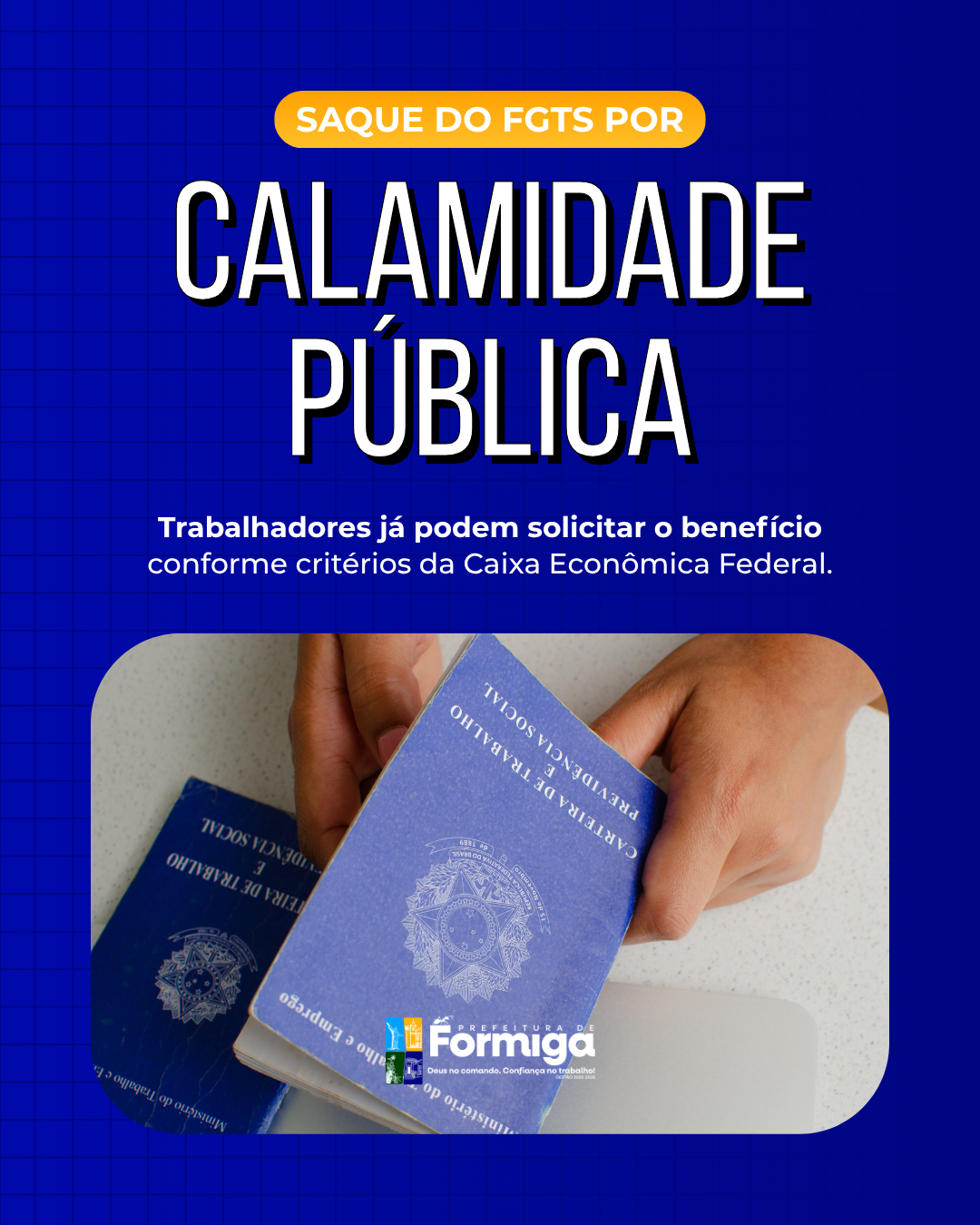 Formiga é habilitada para saque do FGTS por calamidade pública