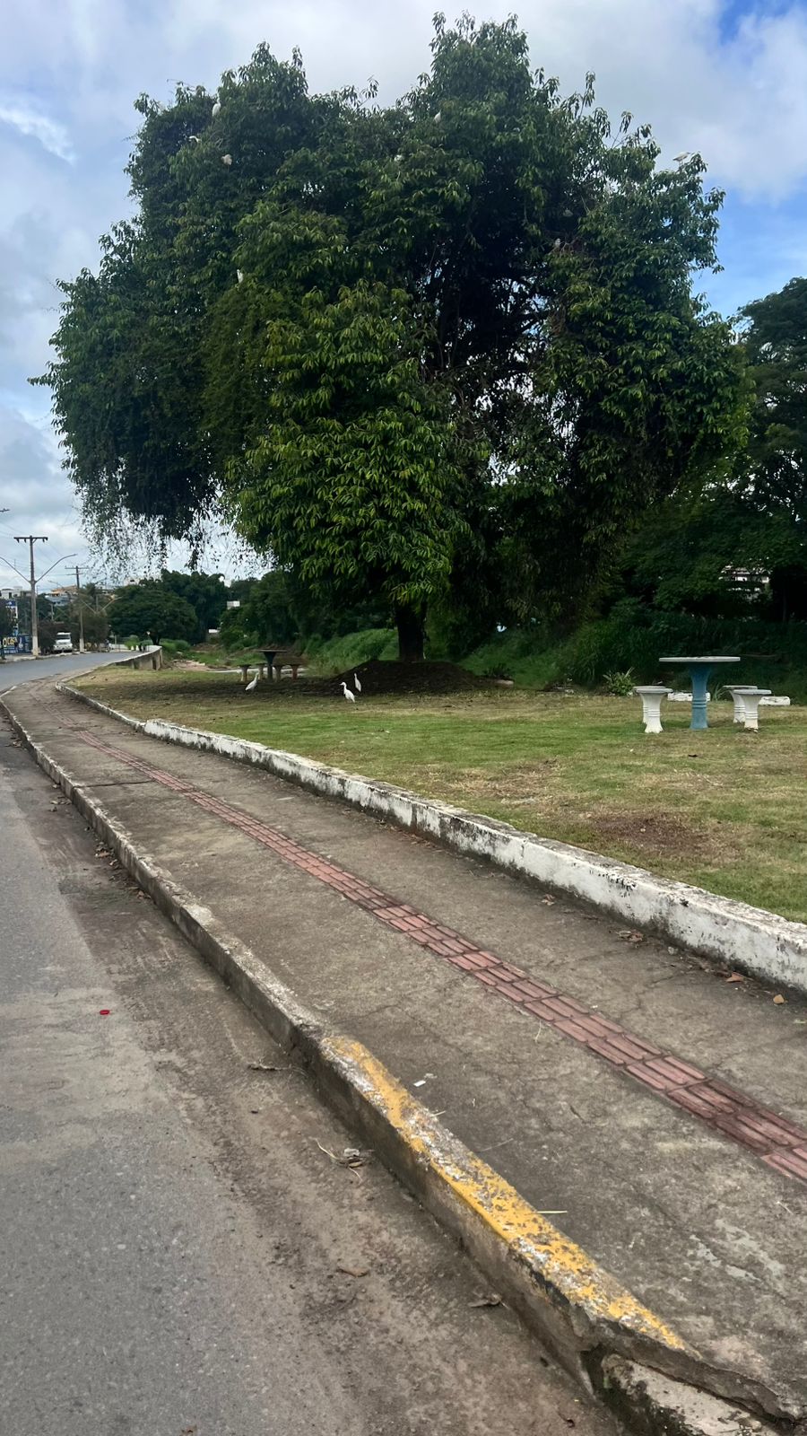 Limpeza Urbana Avança em Diferentes Pontos do Município