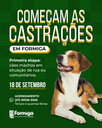 CASTRA8783O.png