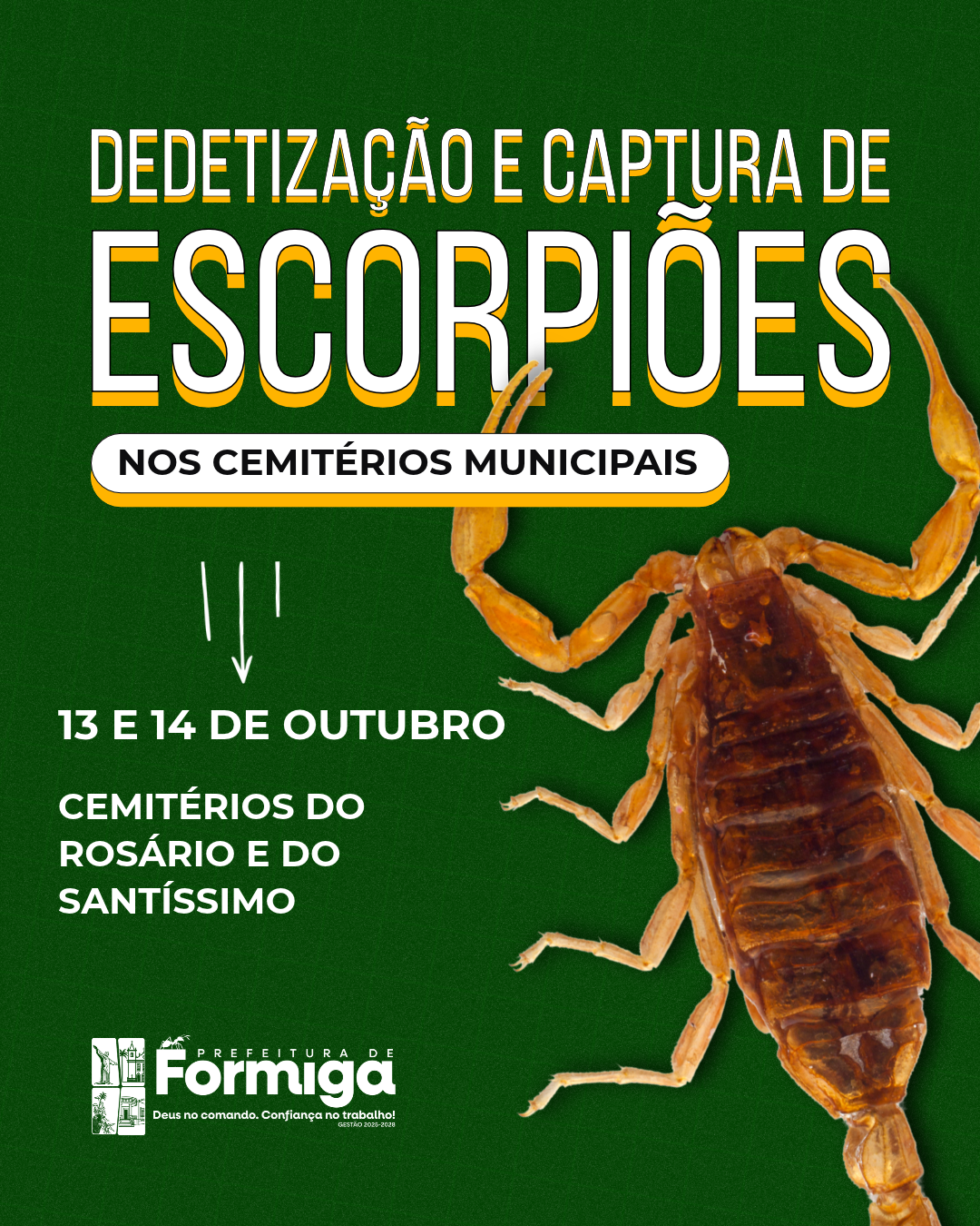 DEDETIZA8783O_E_CAPTURA_DE_ESCORPI95ES.png