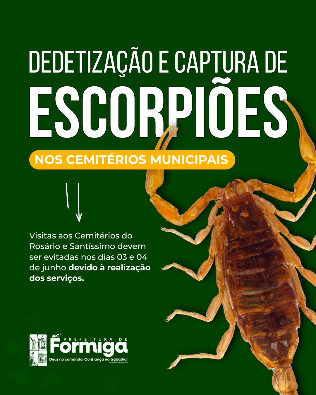 DEDETIZA8783O.png