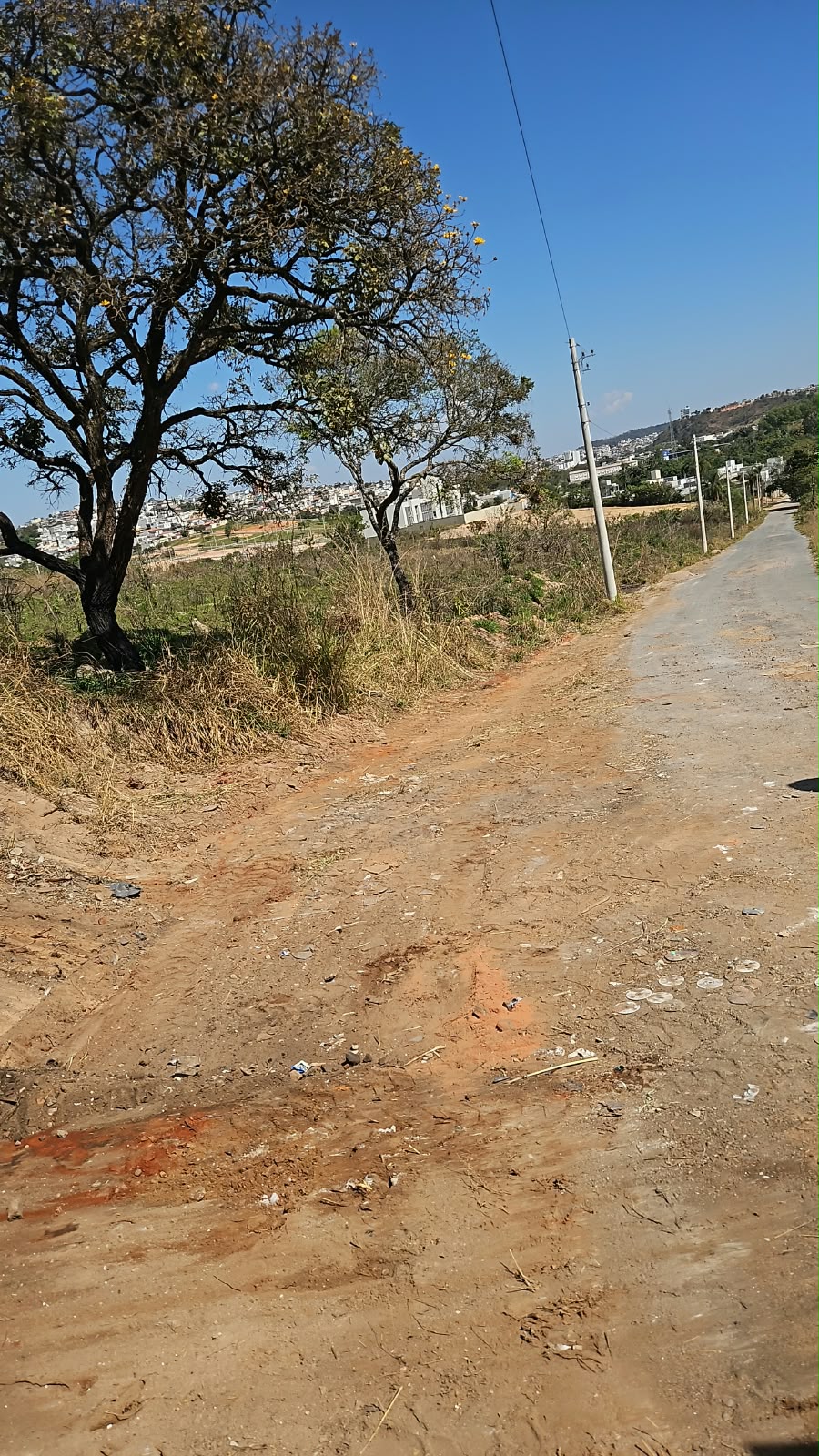 Limpeza atrás do Fórum 1.jpeg