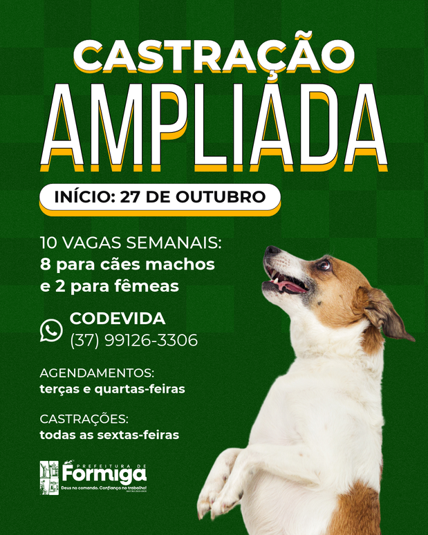 Castração de animais: CODEVIDA amplia a estrutura de atendimento em Formiga