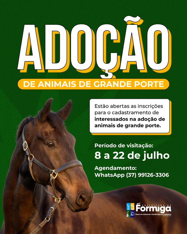 Prefeitura de Formiga abre cadastramento para adoção de animais de grande porte