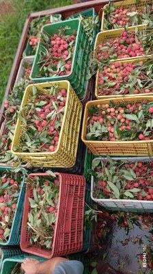 WhatsApp Image 2026-01-29 at 14.56.24.jpeg WhatsApp Image 2026-01-29 at 14.56.24.jpeg