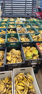 WhatsApp Image 2026-01-29 at 14.56.26 (1).jpeg WhatsApp Image 2026-01-29 at 14.56.26 (1).jpeg