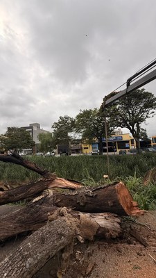 WhatsApp Image 2026-02-25 at 10.30.57 (2).jpeg WhatsApp Image 2026-02-25 at 10.30.57 (2).jpeg