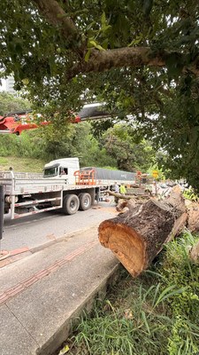 WhatsApp Image 2026-02-25 at 10.30.57.jpeg WhatsApp Image 2026-02-25 at 10.30.57.jpeg