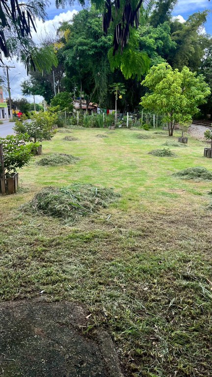 WhatsApp Image 2026-02-26 at 11.17.45.jpeg