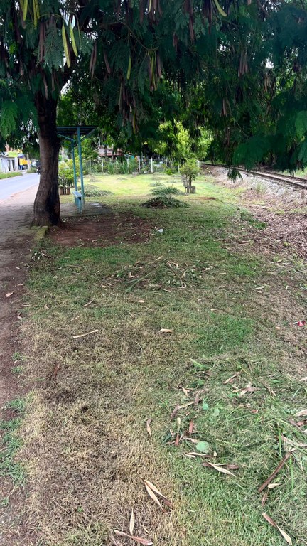 WhatsApp Image 2026-02-26 at 11.17.46.jpeg