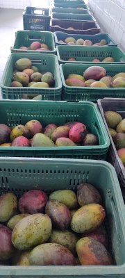 WhatsApp Image 2026-02-27 at 09.42.00 (4).jpeg