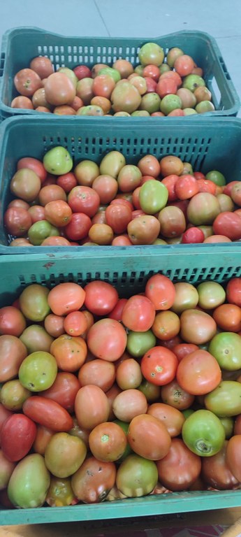 WhatsApp Image 2026-02-27 at 09.42.01.jpeg