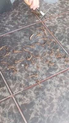 WhatsApp Image 2026-03-06 at 10.22.06 (1).jpeg