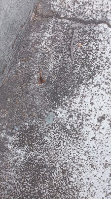 WhatsApp Image 2026-03-06 at 10.22.06.jpeg