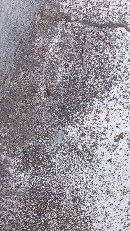 WhatsApp Image 2026-03-06 at 10.22.06.jpeg