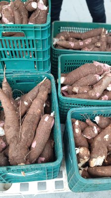 WhatsApp Image 2026-04-06 at 11.41.36.jpeg