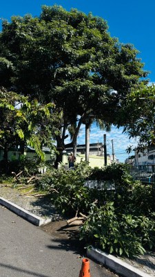 WhatsApp Image 2026-04-09 at 10.10.14 (3).jpeg